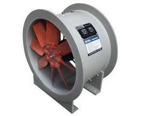 �����g������L�C